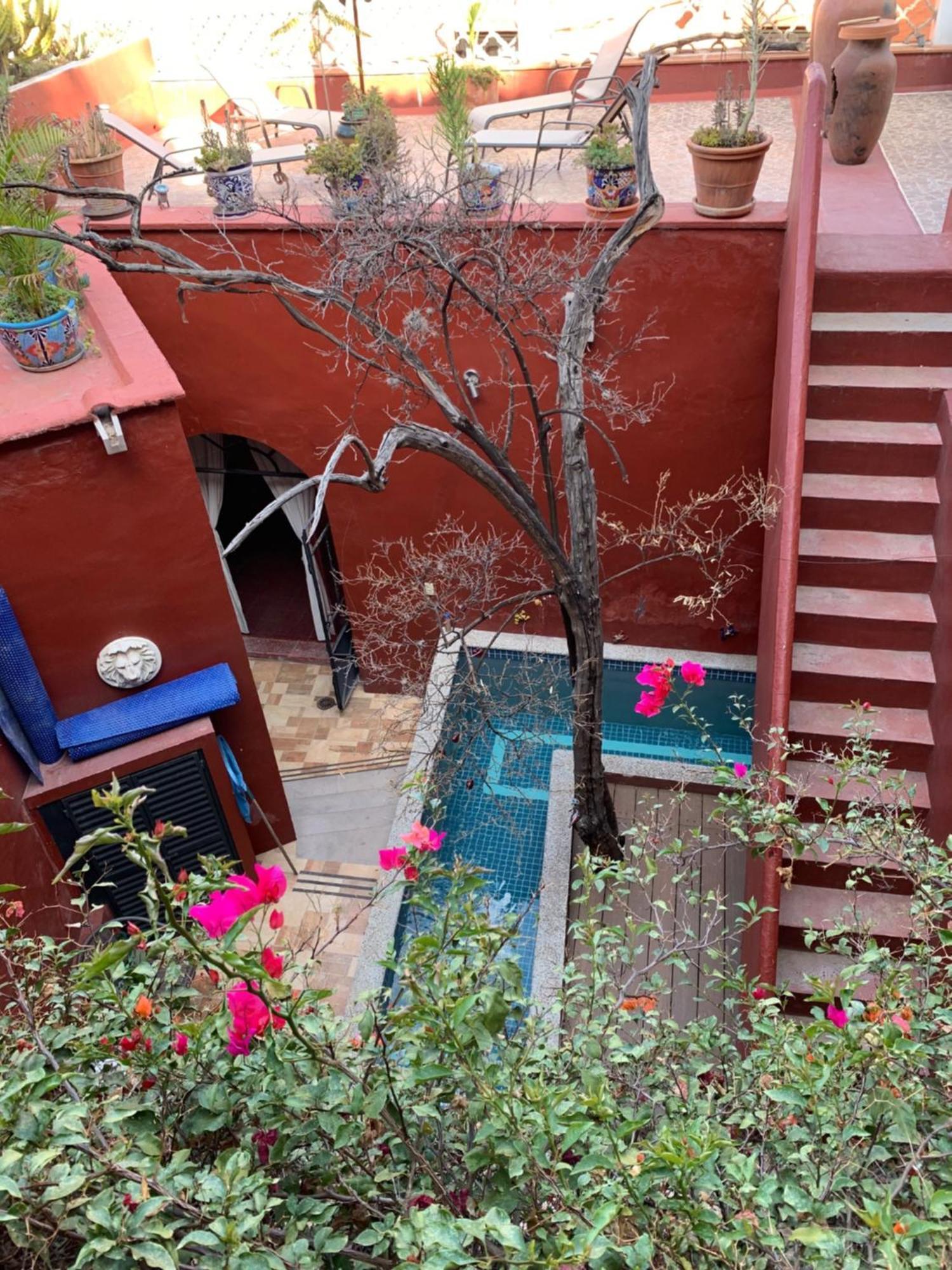 グアナファト Antigua Casa Del Limonヴィラ エクステリア 写真